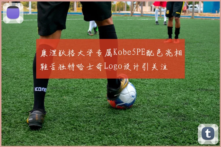 康涅狄格大学专属Kobe5PE配色亮相鞋舌独特哈士奇Logo设计引关注